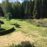 Meadows